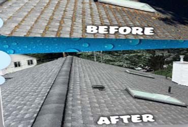  - FREE Window Cleaning Services