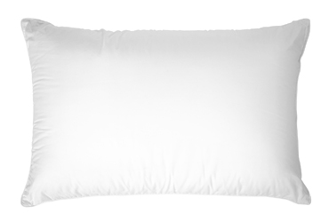  - FREE Pillow