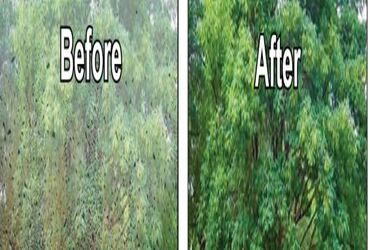  - SAVE up to 80% On Window