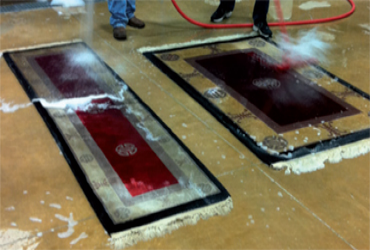  - FREE Area Rug Cleaning