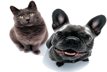  - $5 OFF on Pet Food Purchase