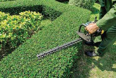  - 10% OFF Spring Cleanup