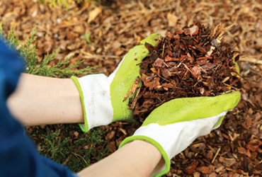  - 15% Off Garden Mulch Install