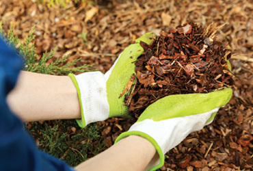  - Sodding & Seeding 15% OFF