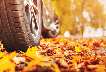  - $15 OFF Any Synthetic Oil Change