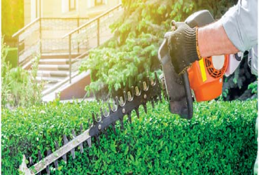  - Grass Cutting $39.00