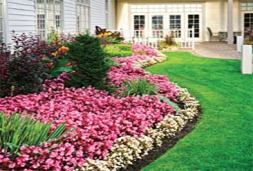  - Any Lawn Care Program 15% OFF