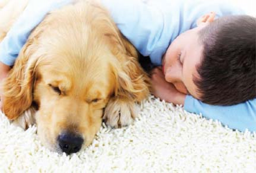  - 10% OFF Area Rug Cleaning