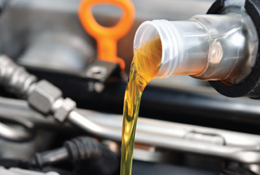  - 20% Off Transmission Fluid Exchange