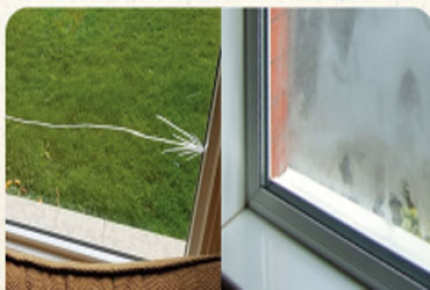 Loyal Seal Windows and Doors Coupon