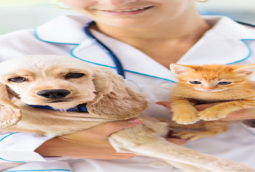  - 50% OFF New Patient Exam