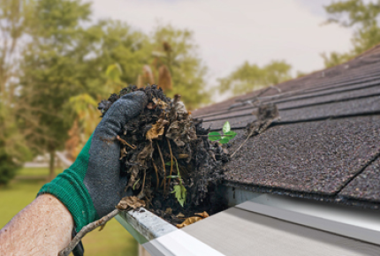 Leaf Filter North Of Canada Coupon