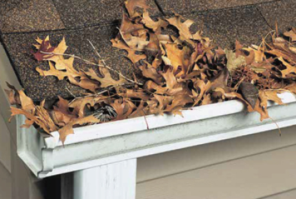 Leaf Guard BY GUTTER DEPOT Coupon