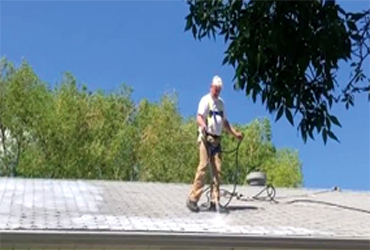  - 100 % Off On Rejuvenating Shingles