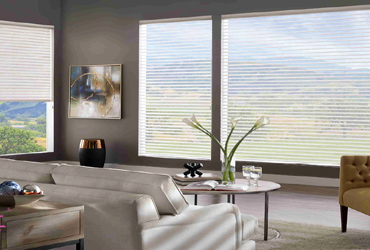  - Save Up to 50% OFF MSRP