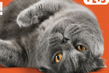  - SAVE $5 When you spend $20
