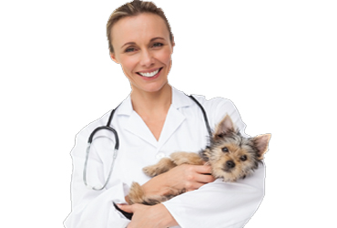  - 50% OFF New Patient Examination