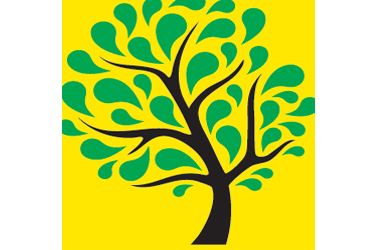  - Tree Pruning $50 OFF