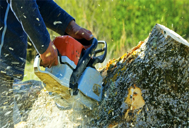  - $100 Off Any Estimate