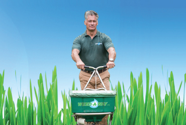  - FREE Overseeding