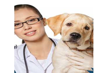  - $150 Off Dental Package