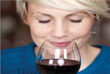  - Free Wine Making
