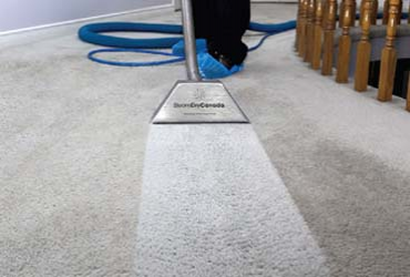  - Carpet Cleaning for $139