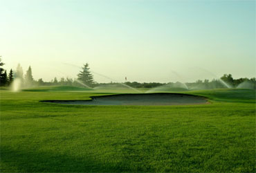  - Early twilight $50 with cart