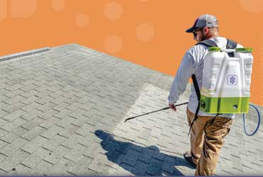  - Free Roof Inspection