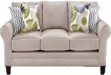  - Furniture Cleaning For $109