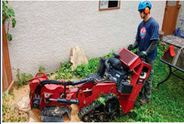  - 15% Off any Service
