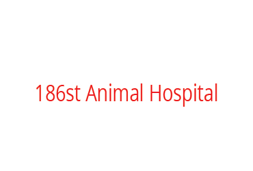 186st Animal Hospital