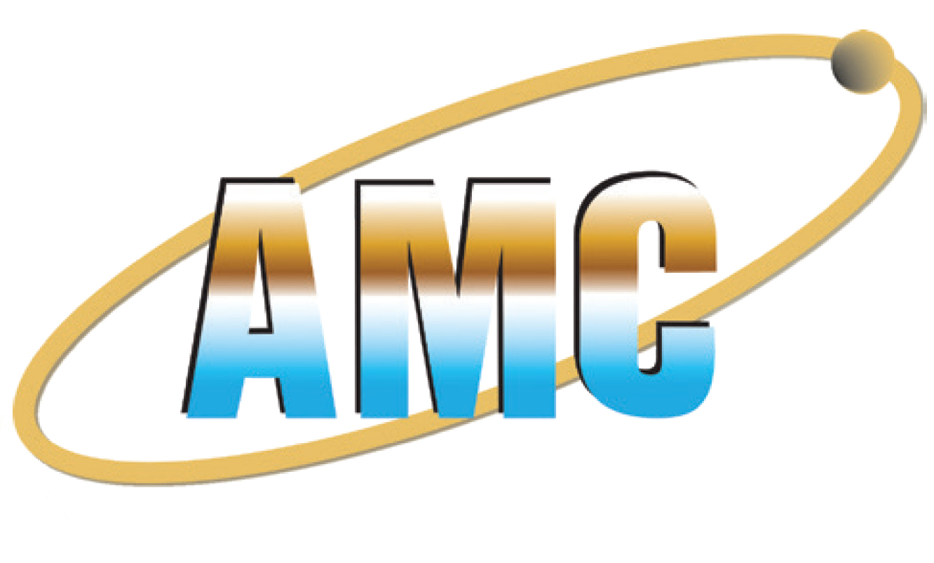 AMC Insurance