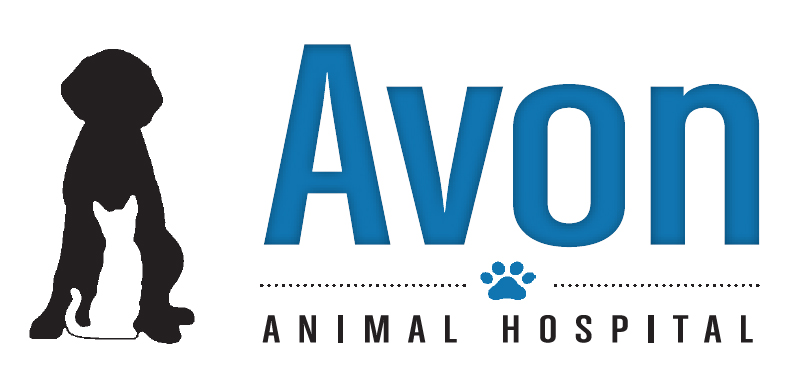 Avon Animal Hospital