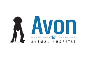 Avon Animal Hospoital