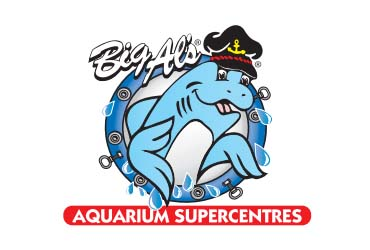 Big Al's Aquarium