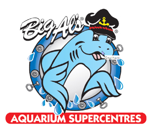 Big Als Aquarium