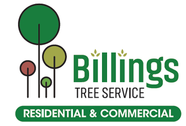 Billings Tree Service