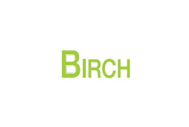 Birch Paving & Excavating