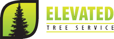 Elevated Tree Service