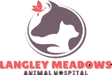 Langley Meadows Animal Hosp