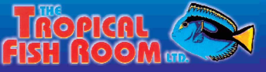 Tropical Fish Room