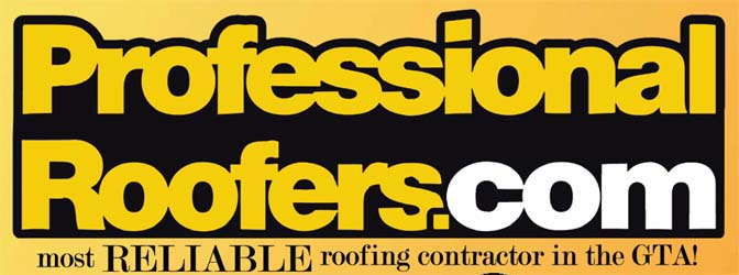 Professional Roofers
