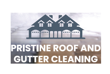 Pristine Roof and Gutter Clean