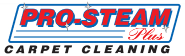 Pro Steam Plus Carpet