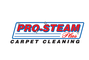 Pro Steam Plus Carpet