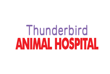 Thunderbird Animal Hospital