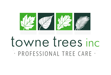 Towne Trees