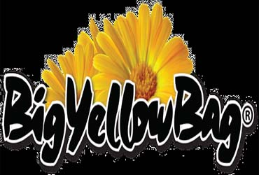 Big Yellow Bag