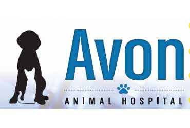 Avon Animal Hospital
